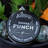 Banana Punch