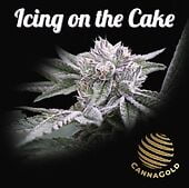 Icing on the Cake 2